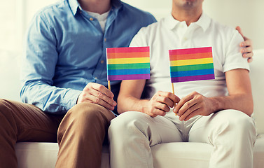 Image showing close up of male gay couple holding rainbow flags