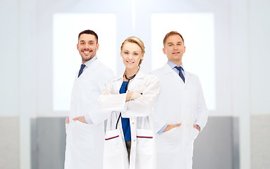 Image showing group of happy doctors at hospital