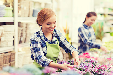 Image showing happy woman taking care of flowers in greenhouse