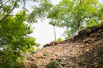 Image showing close up of cliff and trees