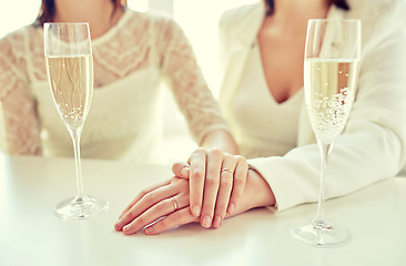 Image showing close up of lesbian couple with champagne glasses