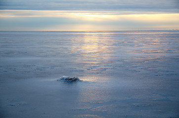 Image showing Reflections at an icebound lake