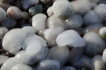 Image showing Ice covered pebbles