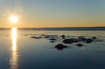 Image showing Icy coastal view