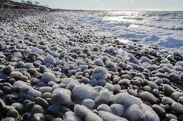 Image showing Coast with ice covered stones