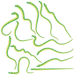 Image showing Green Snakes Set