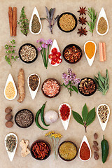 Image showing Spice and Herb Sampler