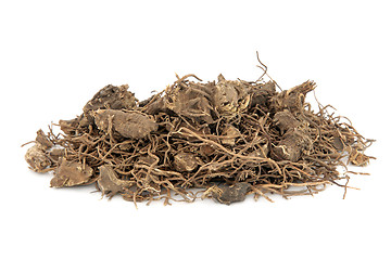 Image showing Black Cohosh Root Herb