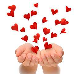 Image showing Flying hearts from cupped hands of young woman, Valentine's Day, love concept, birthday card, isolated  