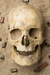 Image showing skull lying in the sand, scattered rifle and pistol cartridges. concept of war