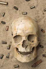 Image showing skull lying in the sand, scattered rifle and pistol cartridges. concept of war