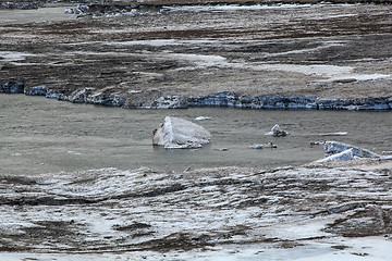 Image showing Glacial ice float away on a river bank, Iceland