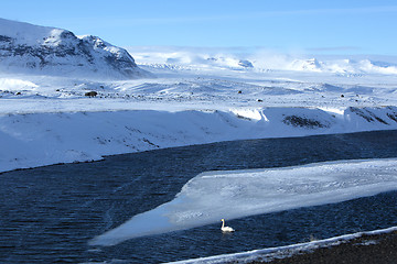 Image showing Swan at a frozen lake