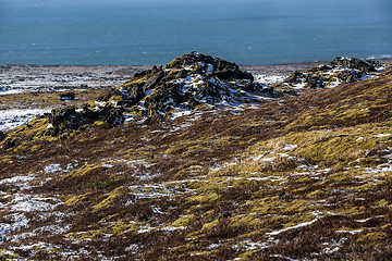 Image showing Wide lens capture of growing moss in Iceland