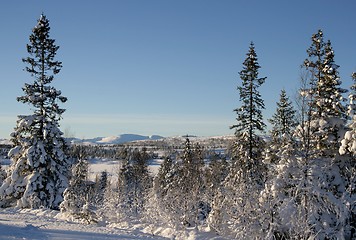 Image showing Snowy landscape