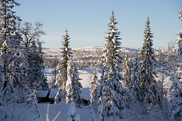 Image showing Snowy landscape 