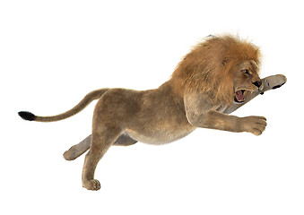 Image showing Male Lion on White