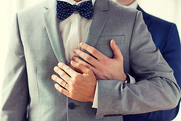 Image showing close up of male gay couple with wedding rings on