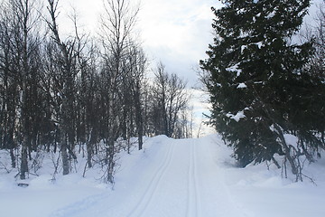 Image showing Ski tracks