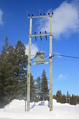 Image showing Power lines in winter