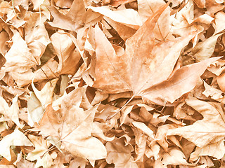 Image showing Retro looking Falling leaves