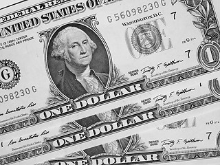 Image showing Black and white Dollar notes 1 Dollar