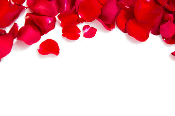 Image showing close up of red rose petals with copyspace