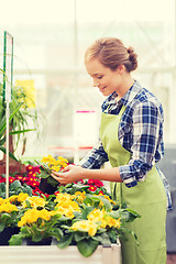 Image showing happy woman holding flowers in greenhouse