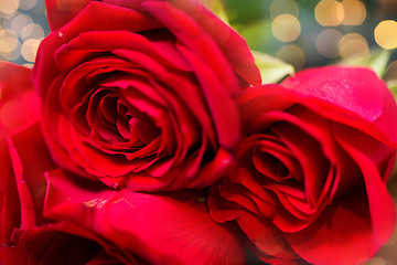 Image showing close up of red roses bunch