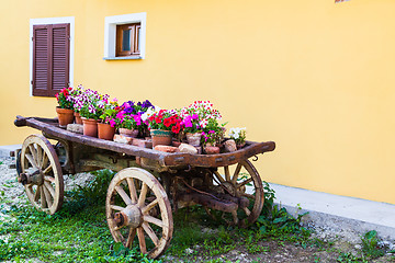 Image showing Tuscany flowers