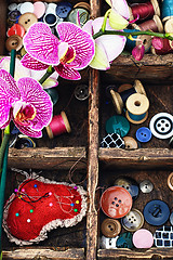 Image showing Sewing supplies and Orchid