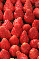 Image showing fresh red currant background