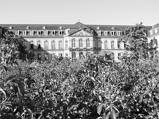 Image showing Neues Schloss (New Castle), Stuttgart