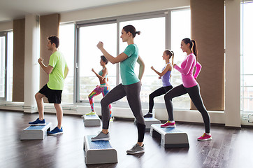 Image showing group of people working out with steppers in gym