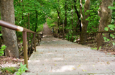 Image showing close up of stair at summer forest or park