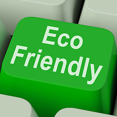 Image showing Eco Friendly Key Shows Green And Environmentally Efficient