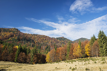 Image showing Nature in autumn