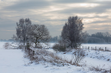 Image showing Wintertime sunset over meadow