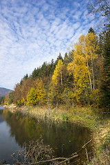 Image showing Autumn tree mountain and lake