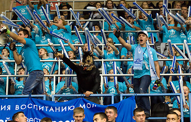 Image showing Witch fan of Dynamo team