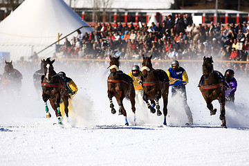 Image showing White Turf 2008 in St. Moritz