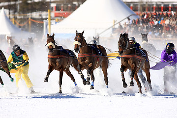 Image showing White Turf 2008 in St. Moritz