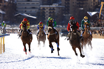 Image showing Horse Race in the snow