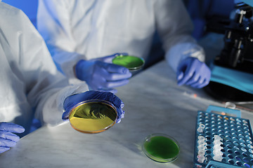 Image showing close up of scientists with test samples in lab