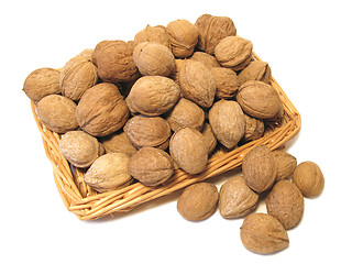 Image showing Walnuts