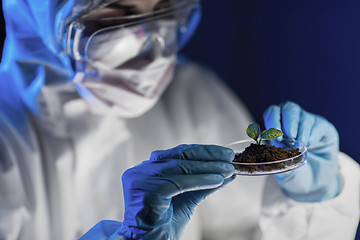 Image showing close up of scientist with plant and soil in lab