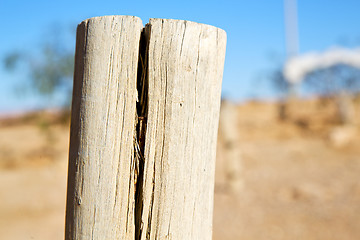 Image showing dead wood in the sky morocco africa  