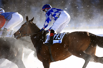 Image showing Horse Race on the Snow