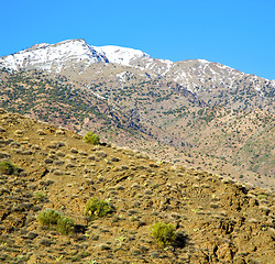 Image showing in ground africa morocco the bush  dry atlas mountain