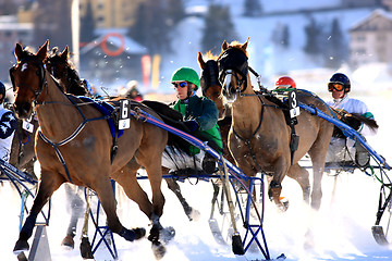 Image showing Trotting Race in the snow